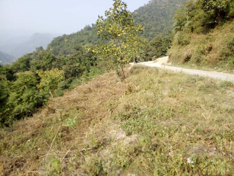 Sahastradhara Valley Greens