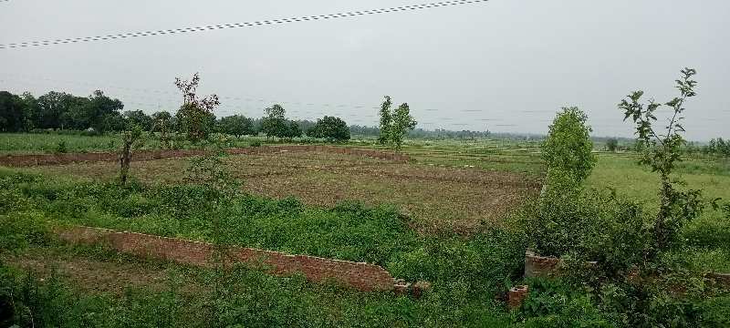5 Bigha Agricultural/Farm Land for Sale in Herbertpur, Dehradun
