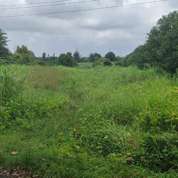 Agreeculture Land for sale express upcoming express highway to just 300 mtr