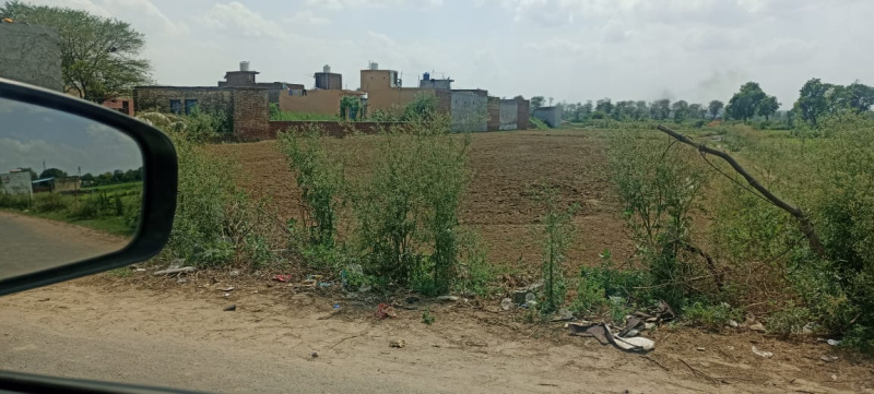2600 Sq. Yards Agricultural/Farm Land for Sale in Haryana
