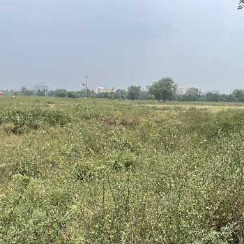 10 Bigha Agricultural/Farm Land for Sale in Khair, Aligarh