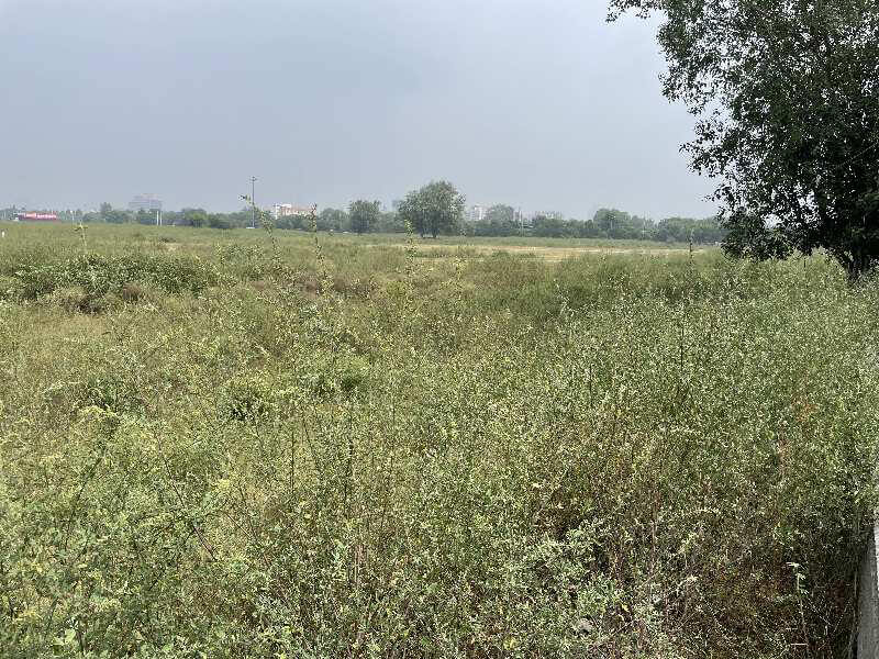 6 Bigha Agricultural/Farm Land for Sale in Khair, Aligarh