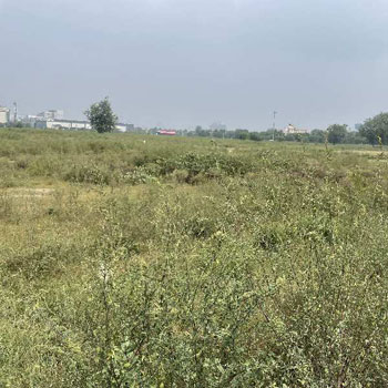 16 Acre Industrial Land / Plot for Sale in Bawal, Rewari