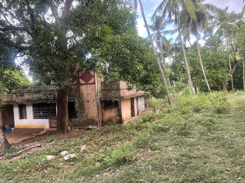 2 BHK Farm House For Sale In Malampuzha, Palakkad (1700 Cent)