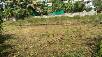 46.250 Cent Residential Plot for Sale in Kochi