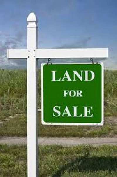 farm land for sales