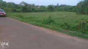 25 Cent Agricultural/Farm Land for Sale in Pannimadai, Coimbatore