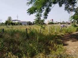 3 Acre Agricultural/Farm Land for Sale in Annur, Coimbatore
