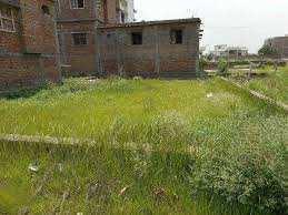 1.3 Cent Agricultural/Farm Land for Sale in Telungupalayam, Coimbatore