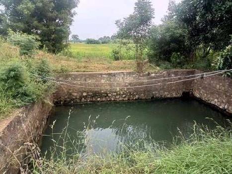 16 Acre Agricultural/Farm Land for Sale in Pappampatti, Coimbatore