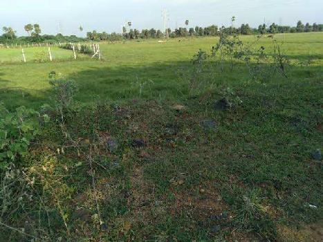 3.50 Acre Agricultural/Farm Land for Sale in Vadasithur, Coimbatore