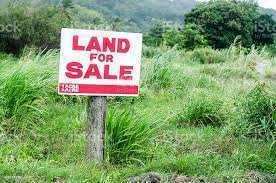 Agriculture/farm land for sale