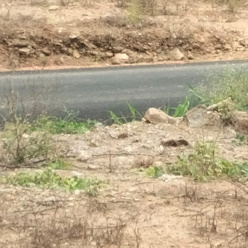 Agricultural/Farm Land for Sale in Karamadai, Coimbatore (4 Acre)