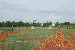 3.80 Acre Residential Plot for Sale in Thoppampatti Pirivu, Coimbatore