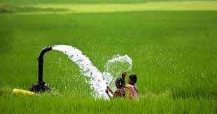 5800 Sq.ft. Agricultural/Farm Land for Sale in Udumalai/udumalpet, Coimbatore