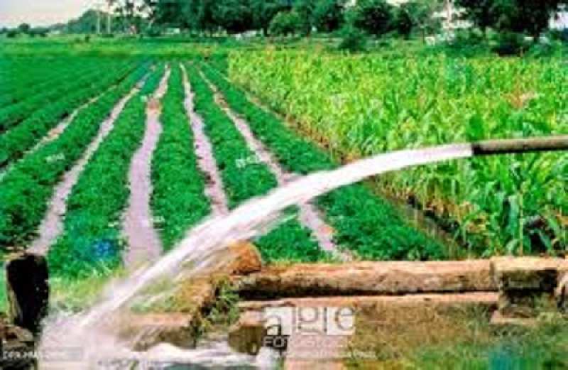 2392.5 Acre Agricultural/Farm Land for Sale in Pollachi, Coimbatore