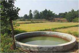 1131 Ares Agricultural/Farm Land for Sale in Sirumugai, Coimbatore