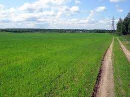 2000 Sq.ft. Agricultural/Farm Land for Sale in Pollachi, Coimbatore