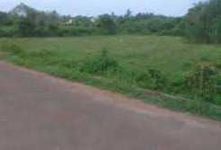 5 Acre Agricultural/Farm Land for Sale in Senjerimalai, Coimbatore
