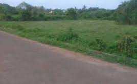 6 Acre Agricultural/Farm Land for Sale in Sulur, Coimbatore