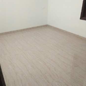 2 BHK Builder Floor for Rent in Devli Export Enclave, Khanpur, Delhi (730 Sq.ft.)