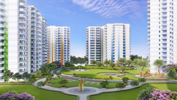 2 BHK Flats & Apartments for Rent in Sector 88, Mohali (1250 Sq.ft.)