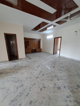 9 BHK Individual Houses for Rent in Phase 7, Mohali (3500 Sq.ft.)