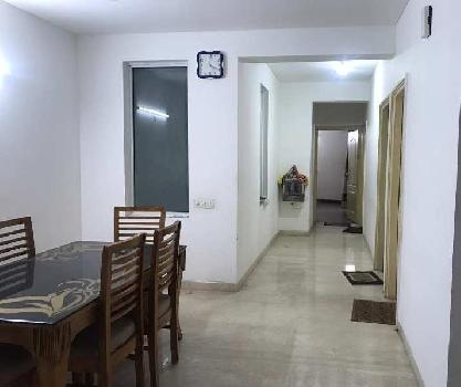 3 BHK Flats & Apartments for Rent in Sector 66, Mohali (1830 Sq.ft.)