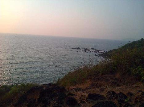 A Residential Plot for Sale At South Goa