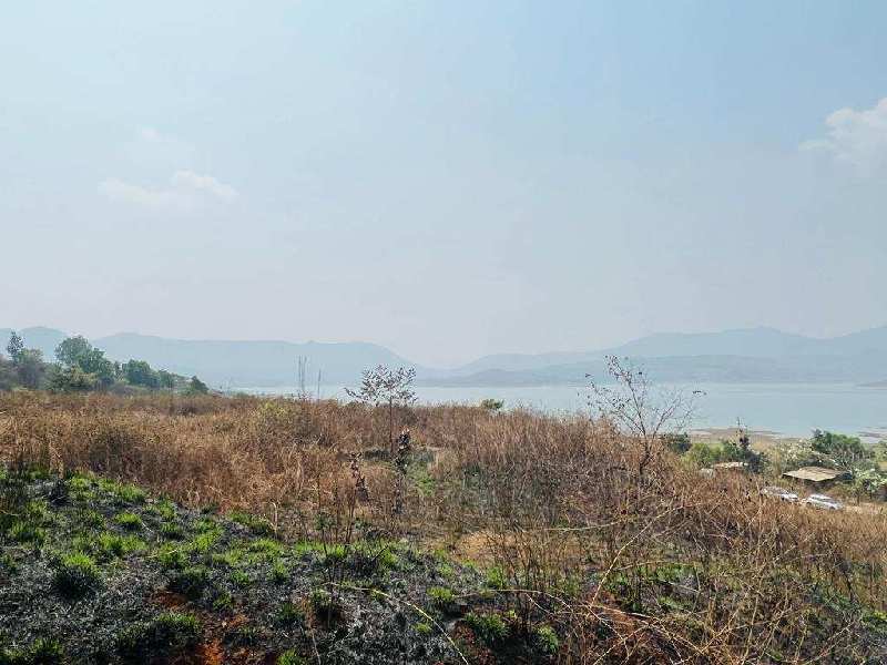 1 Acres clear & clean title pavana dam view open view open plot for sale @pavana dam near Lonavala,