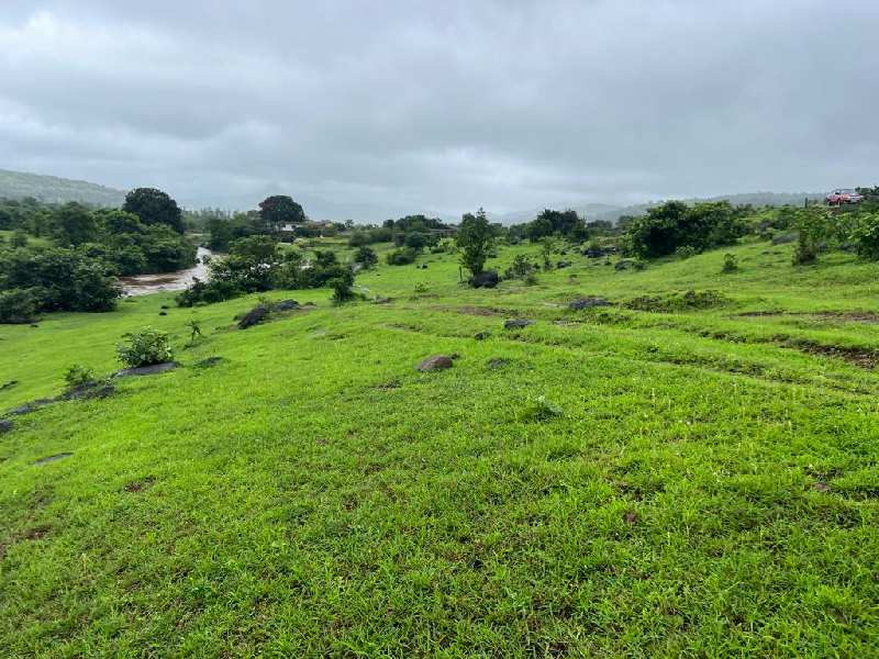 Pavana River touch clear title properties for sale @Proper Pavana dam near Lonavala hill station