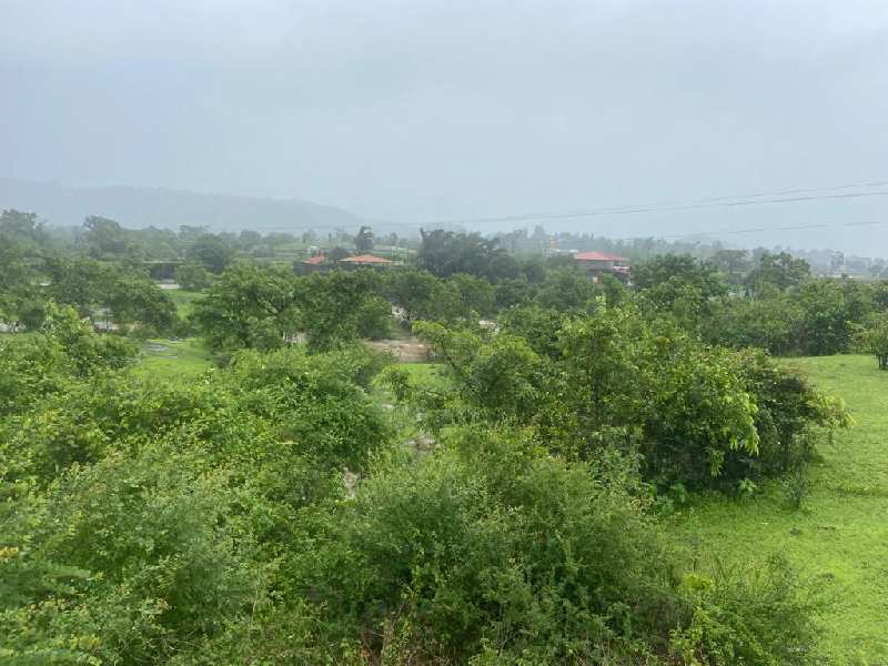 pavana river touch & pavana dam view open plots for sale@pavana dam area near lonavala hill station