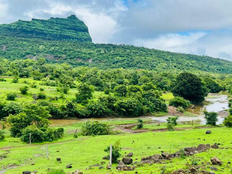 20 Guntha Agricultural/Farm Land for Sale in Pavana Lake, Pune