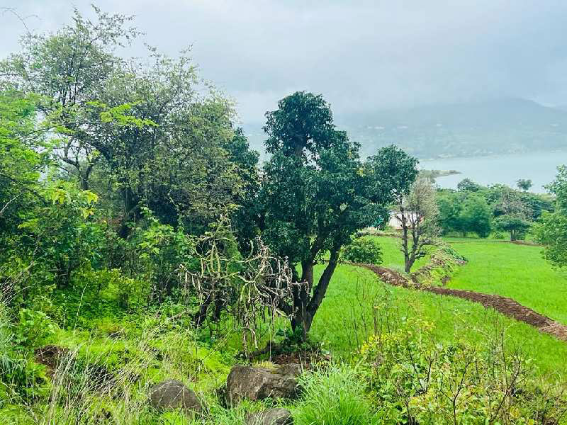 Pavana Lake facing clear & clean property for sale @Pavana dam area near lonavala khandala twin hill station