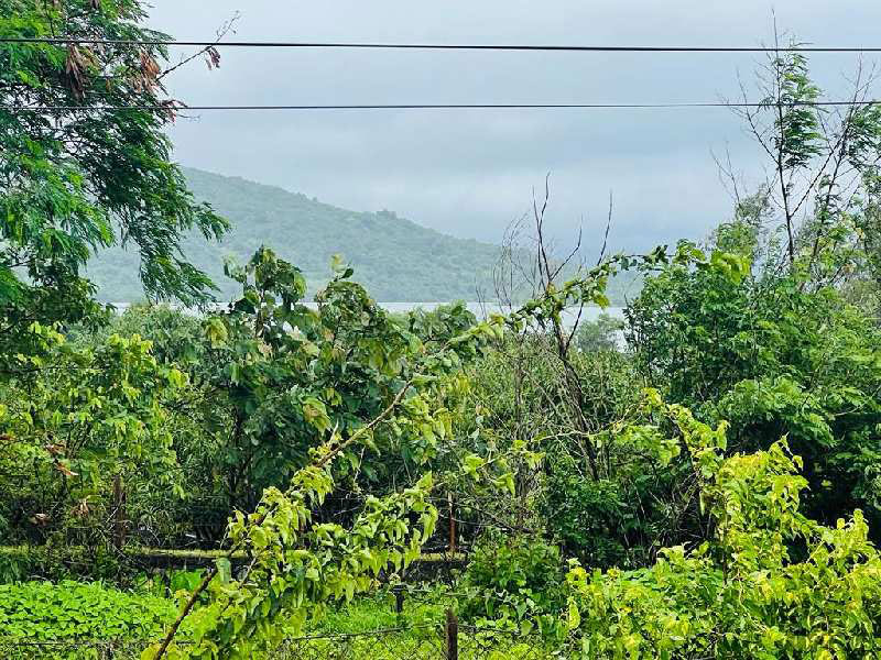3 BHK pavana dam view ready possesion bunglow for sale @proper main pavana Area near Lonavala-khandala twin hill station
