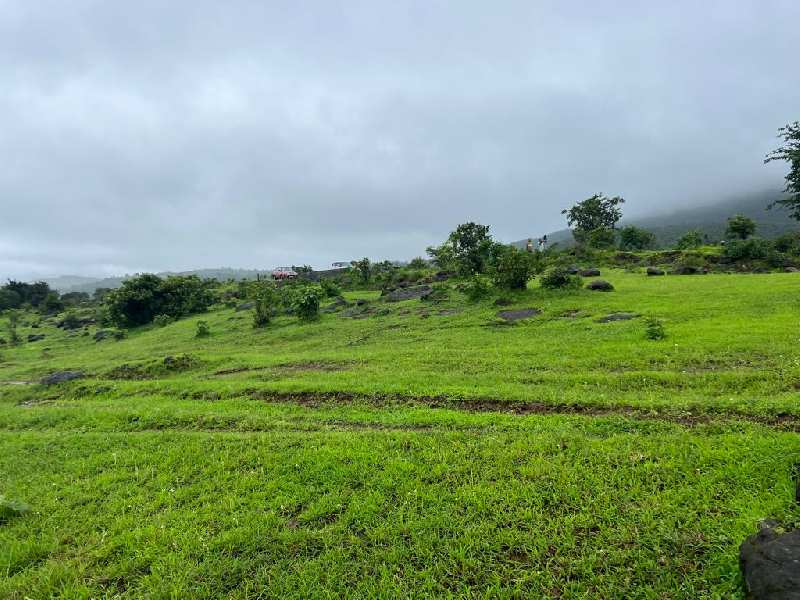 Pavana River touch plotting plots for sale @proper pavana dam area near Lonavala-khandala twin hill station