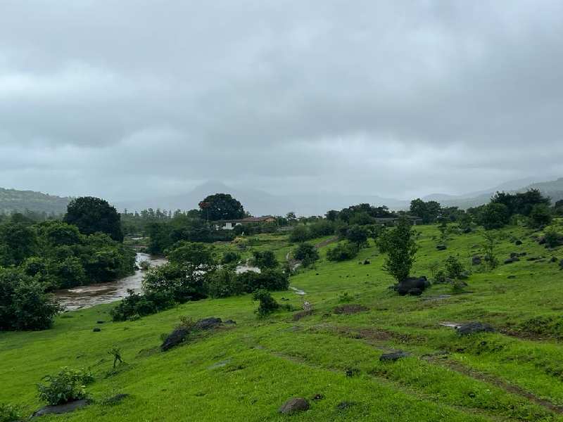Pavana River touch plotting plots for sale @proper pavana dam area near Lonavala-khandala twin hill station