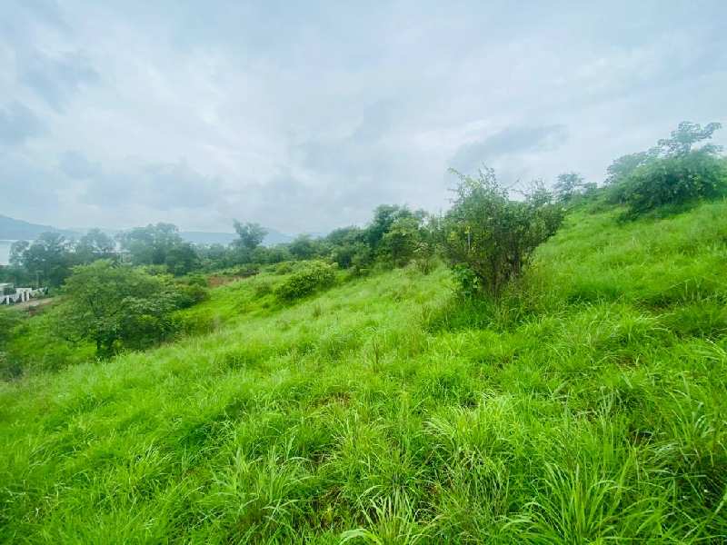 pavana dam view open plot for sale @pavana dam near Lonavla-khandala twin hill station
