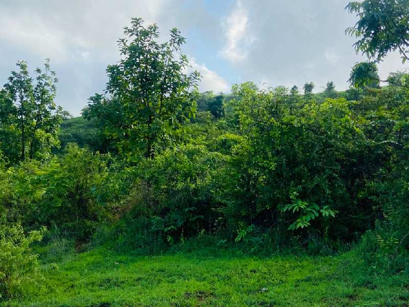 direct pavana dam touch open plot for sale @pavana dam near Lonavla-khandala twin hill station