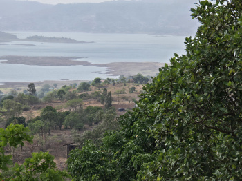 pavana lake view open plot for sale @pavana dam near lonavala hill station