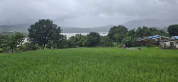 22 Guntha pavana lake view open plot for sale @pavana dam near lonavala hill station