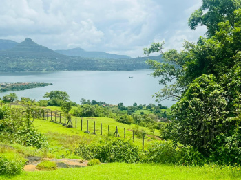 pavana lake view open plot for sale @pavana dam near lonavala hill station