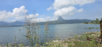 Pavana lake touch open plot for sale @Pavana dam near Lonavala hill station