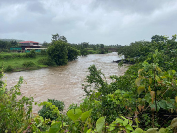 pavana lake side river touch open plot for sale @pavana dam near lonvala hill station