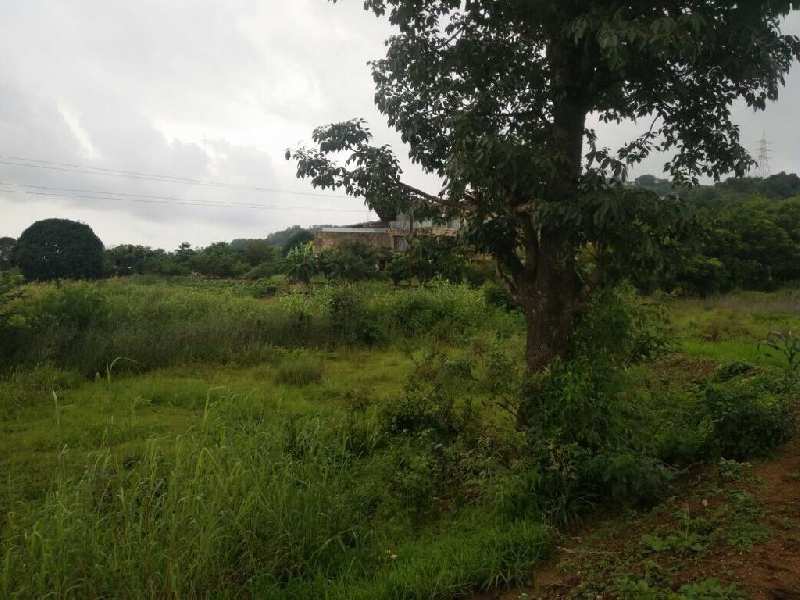 pavana dam view open plot for sale @pavana dam near Lonavla-khandala twin hill station