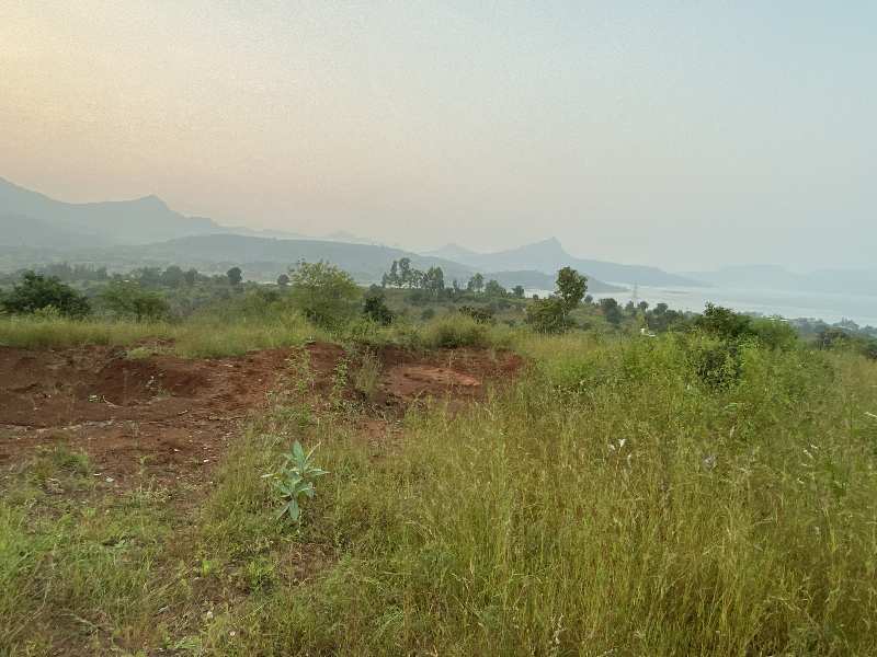 40000 Sq.ft. Agricultural/Farm Land for Sale in Lonavala Road, Pune