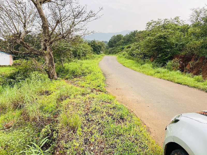 Pavana dam view clea title plot for sale @ pavana dam near Lonavala - Khandala twin hill station