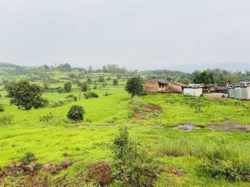 Pavana dam view clea title plot for sale @ pavana dam near Lonavala - Khandala twin hill station