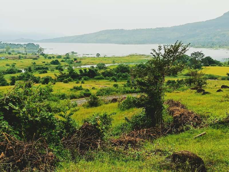 Pavana dam view open plot for sale @Pavana dam near Lonavala - Khandala twin hill station.