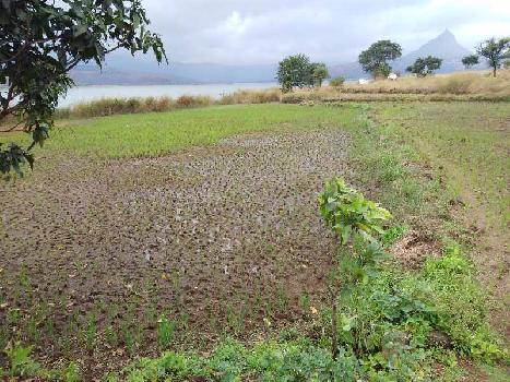 37 Guntha Clear title lake touch open plot for sale @Pavana Dam near Lonavala - Khandala twin hill station